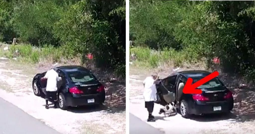Una cámara de seguridad le descubre abandonando a su perra en la carretera