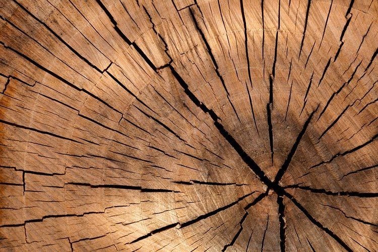 Los mejores consejos para trabajar la madera